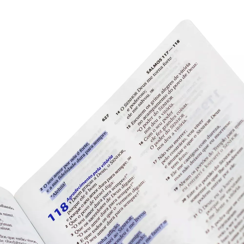 A Bíblia Divertida de Mig e Meg 3 Bíblia Sagrada Mig E Meg